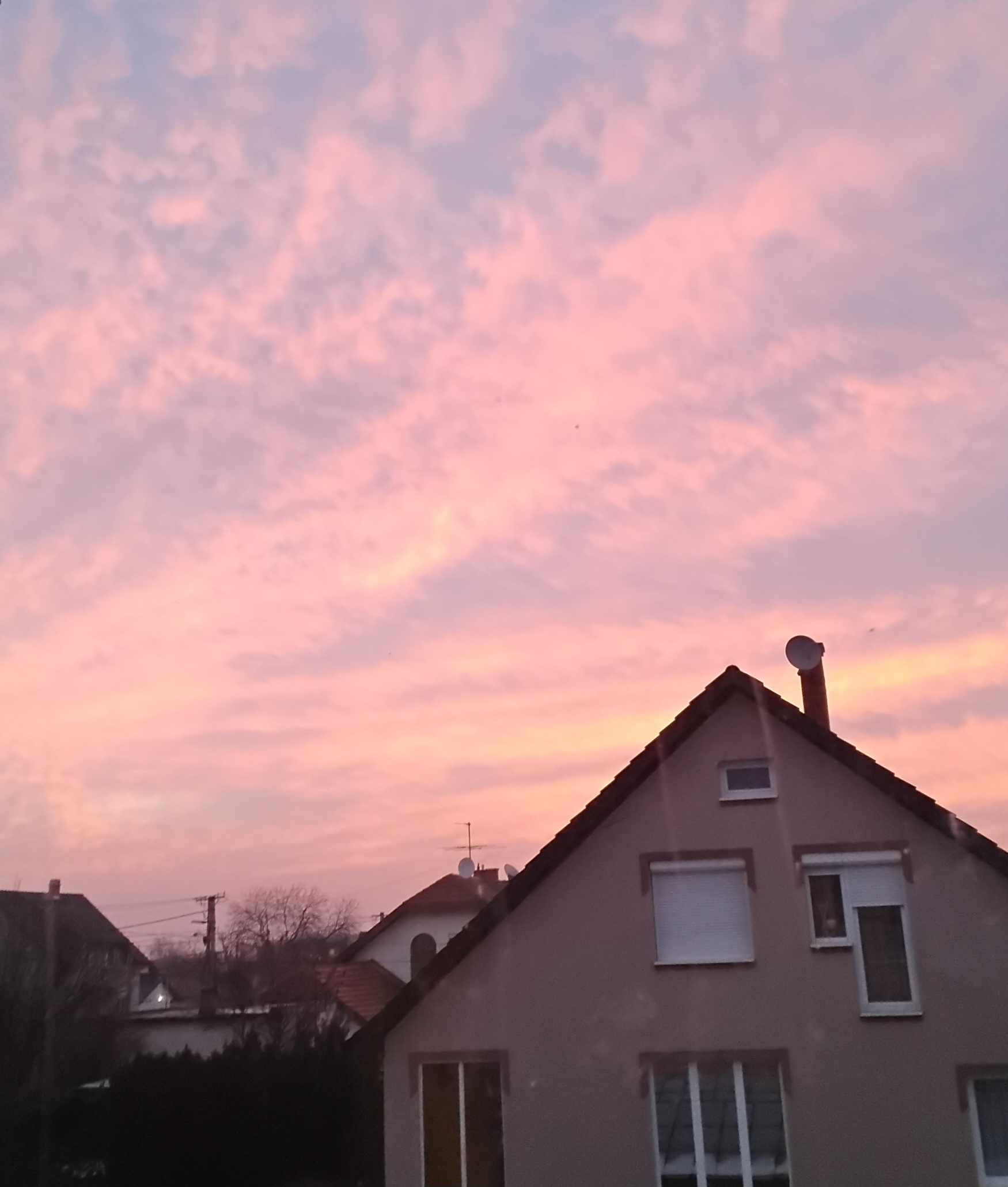 Image link